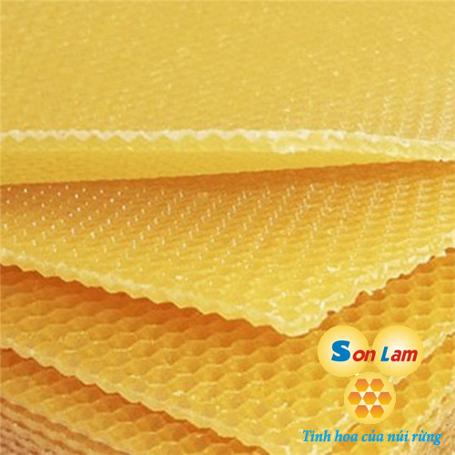 sap-ong-nguyen-chat-matongsonlam